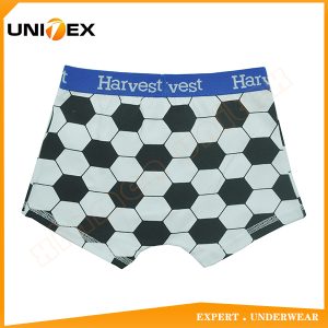 Boys’ Soft Boxer Shorts — Cotton, Custom Print, Comfort Fit — Boys' Boxers & Boxer Shorts programme — thumbnail of OEM & private label sample 2